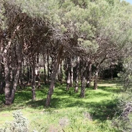 House Dans Un Ecrin De Verdure Tres Belle 4 Chambres Feriehus Cavalaire-sur-Mer